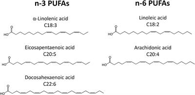 Frontiers Long Chain Polyunsaturated Fatty Acids LCPUFAs in